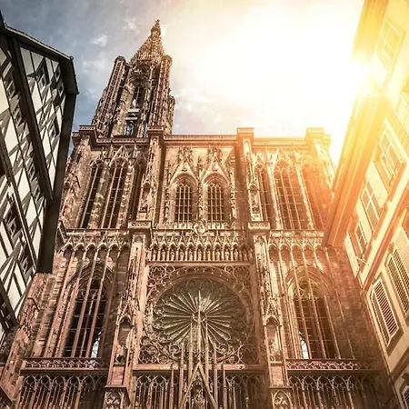 Amazing Facing The Cathedral Apartament Strasburg